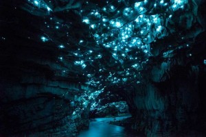 Waitomo-magarasi